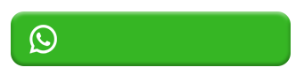 whats app Icon